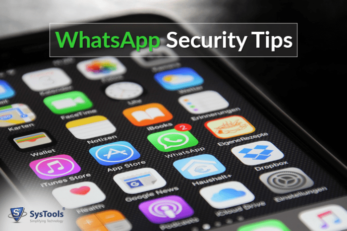 WhatsApp Security Best Practices Guide