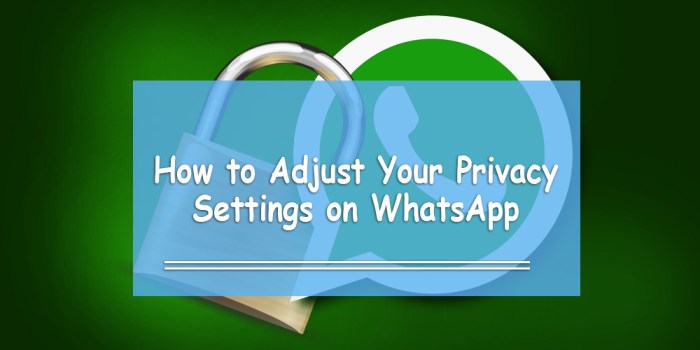 WhatsApp Privacy Settings You Need to Know Today