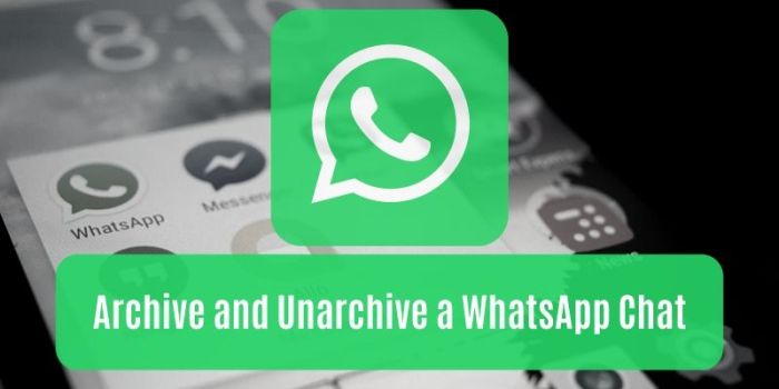 Master WhatsApp Archive Management Easily