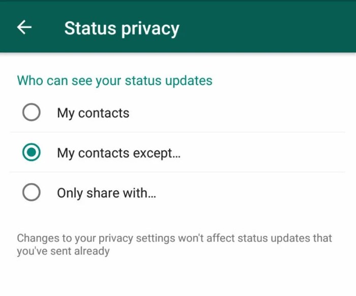 WhatsApp Privacy Settings You Need to Know Today