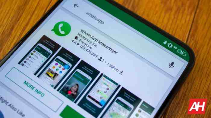 WhatsApp now uses capital O and T in Online and Typing