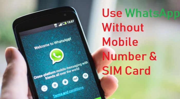 Here's how to use WhatsApp without a SIM card in your phone