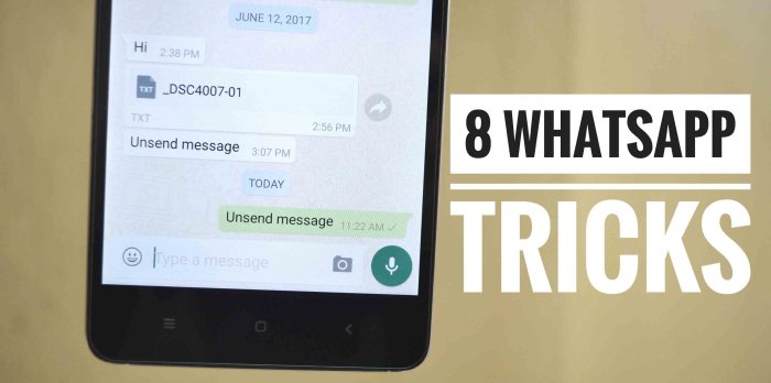 Whatsapp tips tricks express secrets needs five every user know