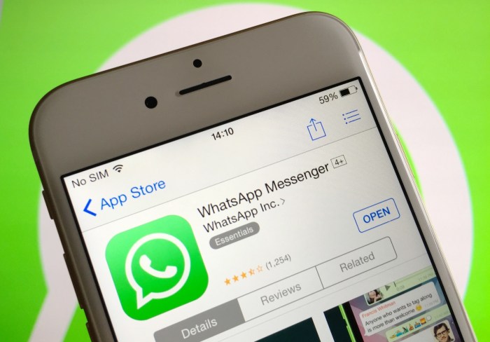 WhatsApp's latest update makes Channels all the more useful